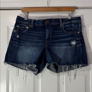 American Eagle brand denim shorts Size 18